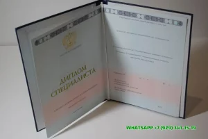 Купить диплом МСИ в Норильске — Международного славянского института